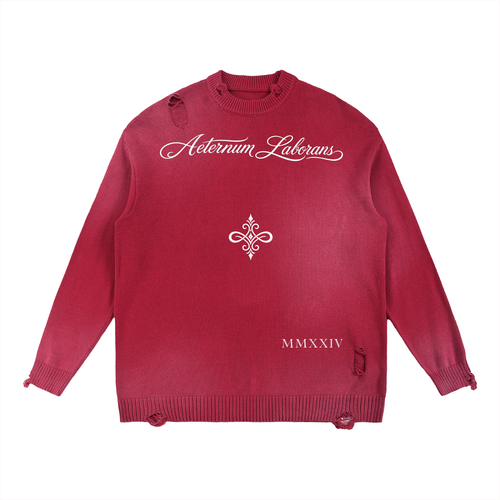 A distressed red knit sweater with white gothic-style text reading 'Aeternum Laborans' across the chest, a white ornamental emblem in the center, and 'MMXXIV' near the lower right hem, shown on a plain white background.